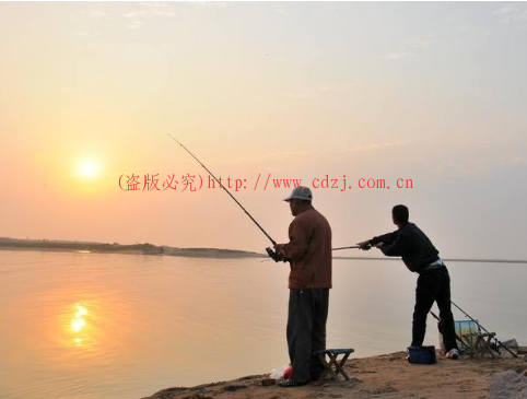 新人夏季早晚钓鱼的话使用4.5米的鱼竿最合适吗？3.6米效果如何 第1张