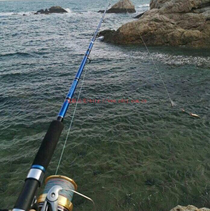 野钓用4.5米的鱼竿好用还是用5.4米的鱼竿好用？28调鱼竿怎么样？