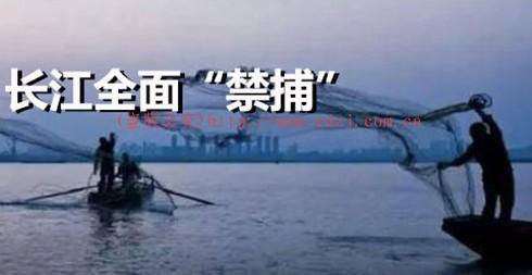 长江禁渔10年补贴给渔民多少钱？渔民生计能有保障吗 第1张