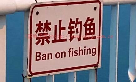2021年禁渔垂钓一人一钩会受到惩罚吗？长江禁渔有哪些具体规定 第1张