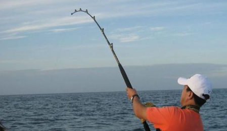 冬季钓草鱼的技巧和方法，掌握这饵料与钓法，保证连竿爆护 第2张