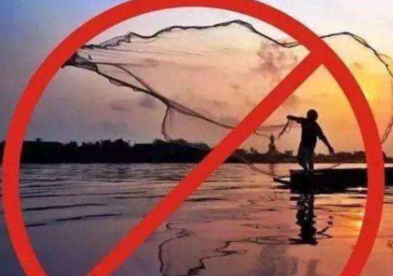 河道不让钓鱼可以去哪里反馈？地方是否有权利禁止水域使用？ 第2张