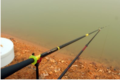 插竿钓法能用来钓什么鱼？插竿钓的优势是什么？ 第2张
