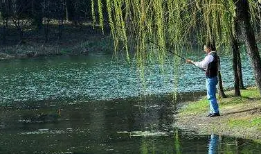 春天什么时候钓鱼最好钓？