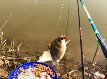 春天钓鱼用几米长的鱼竿合适？