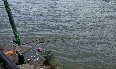 水库钓鱼用6.3米鱼竿好还是4.5米鱼竿好？ 第1张