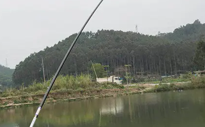 黑坑钓鱼可以用10米鱼竿是真的吗？ 第1张