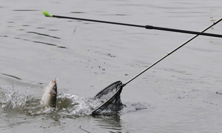野钓6.3米鱼竿选择什么调性和硬度比较好？ 第2张