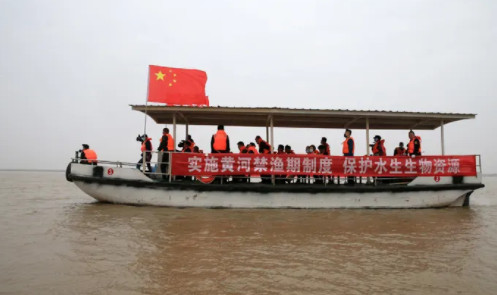 继长江以后黄河也开始了3年时间的禁渔期！ 第3张